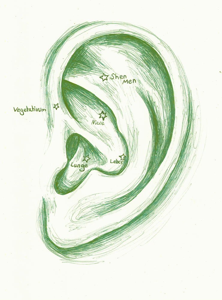 Bild Akupunktur